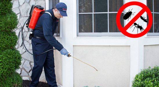 Karakoyunlu Böcek İlaçlama böcek ilaçlama ve haşere kontrolü — ilaclama-tr.com